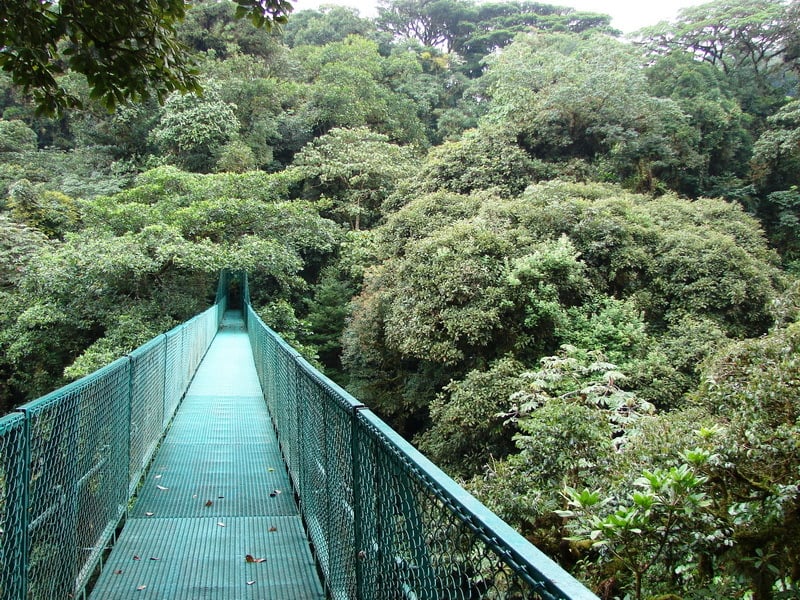 Sky Walk 13, Monteverde, Costa Rica