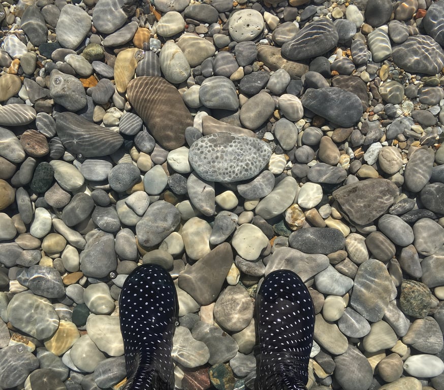 Petoskey Stones