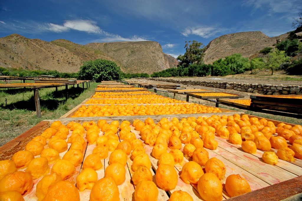 Weltevrede Farm - Prince Albert, South Africa