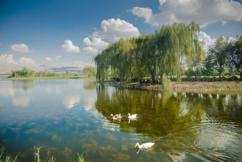 Little lake