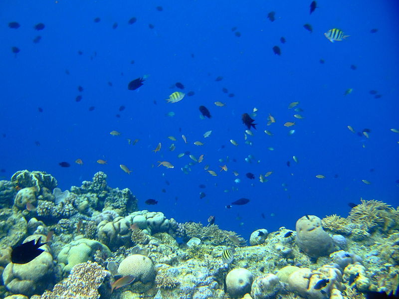 Bunaken Marine Park