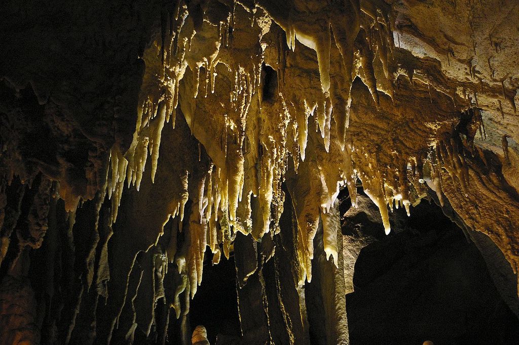 Mammoth Cave National Park