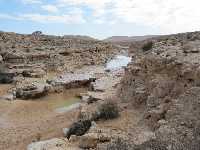 Ein Avdat National Park