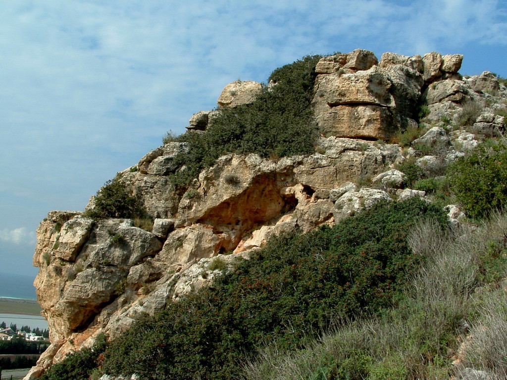 Mount Carmel