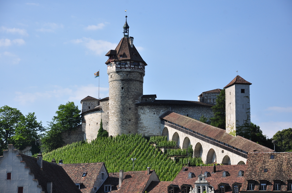 Schaffhausen - Munot - Feuerthalen IMG 9843