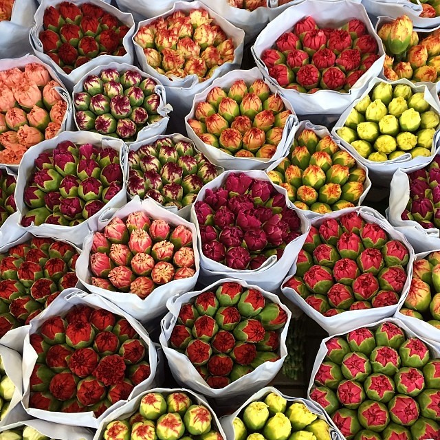 Flower Market #hongkong