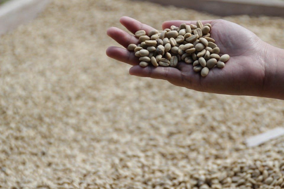 Indonesian coffee