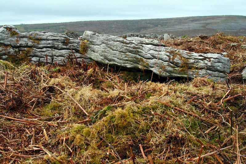 The Burren