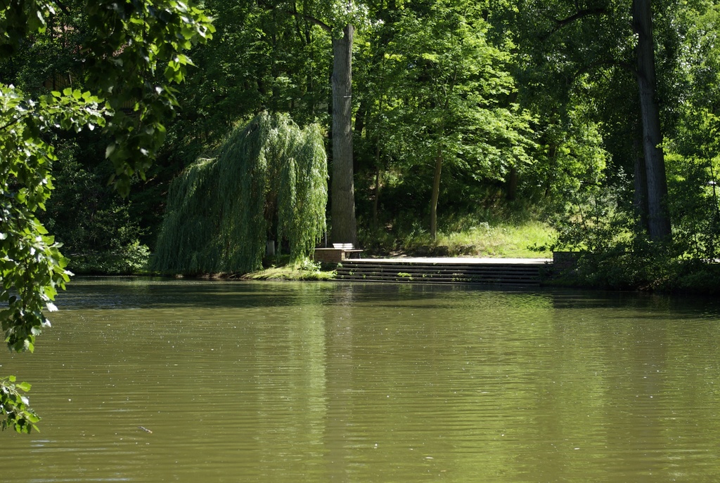 Fürth Stadtparkweiher 002