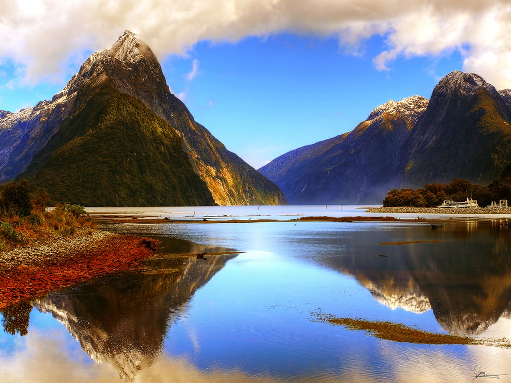 7 Best Things To Do In Milford Sound New Zealand Trip101 7 Best Things To Do In Milford Sound New Zealand Trip101