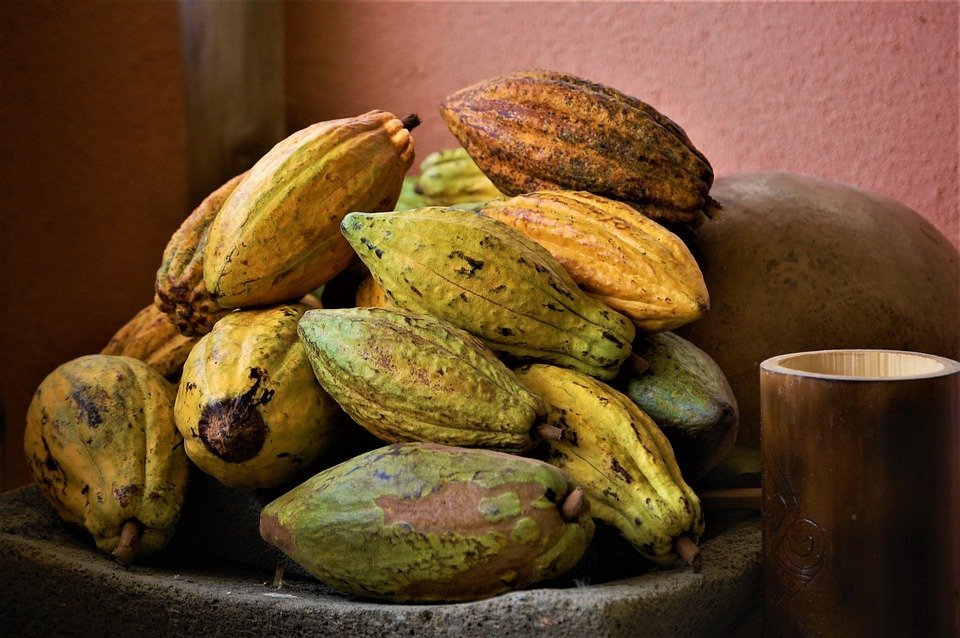 Cacao