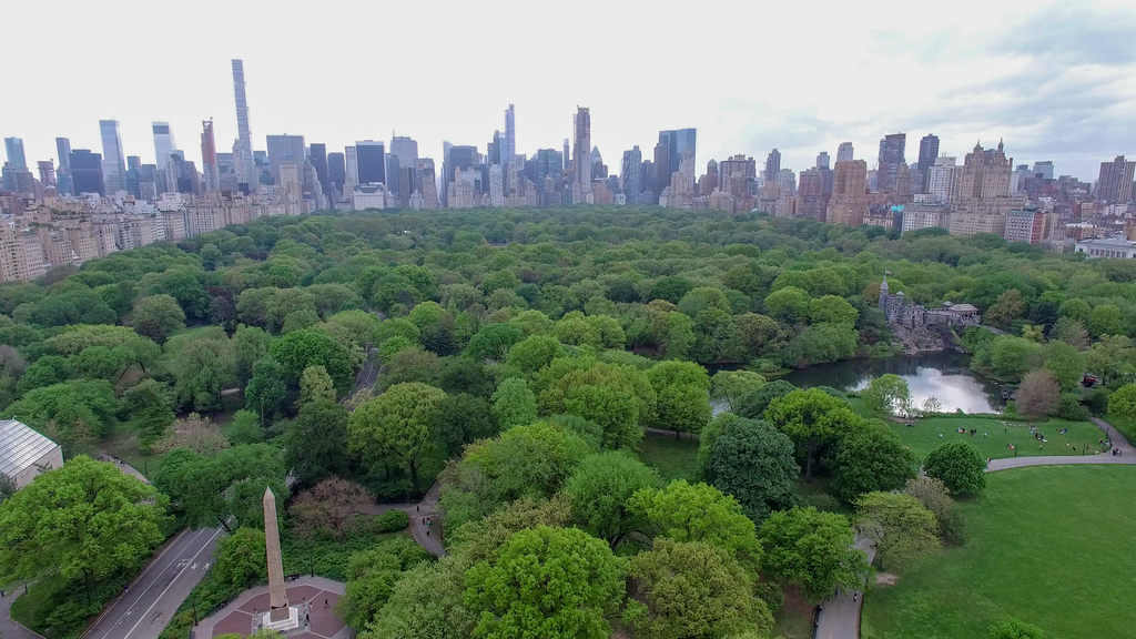 Drone photo of Central Park 20170506-001-2 (33679392984)