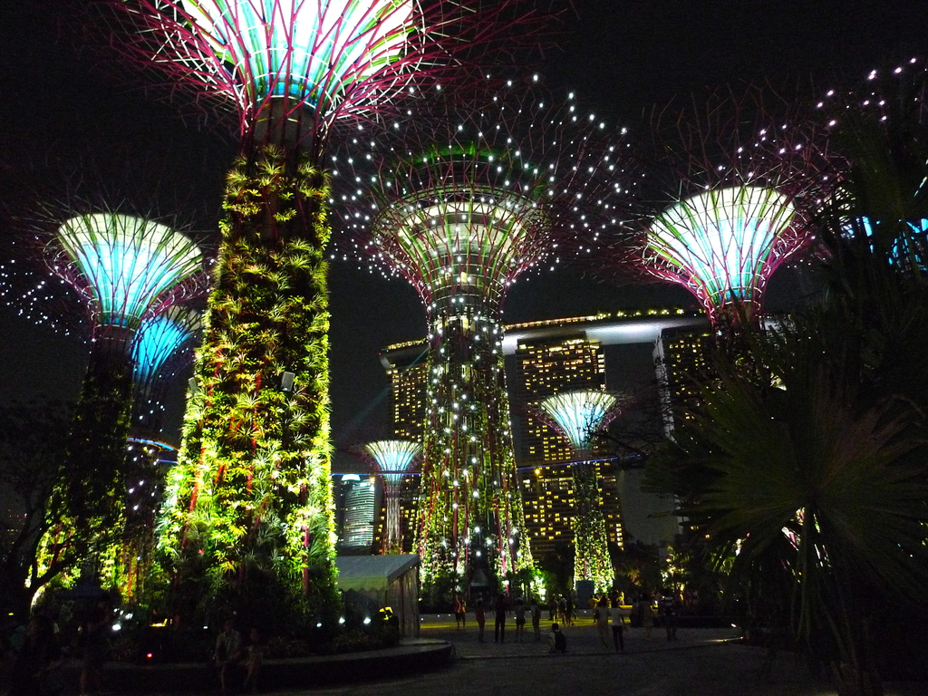 Supertree Grove, Gardens by the Bay, Singapore - 20120630-04