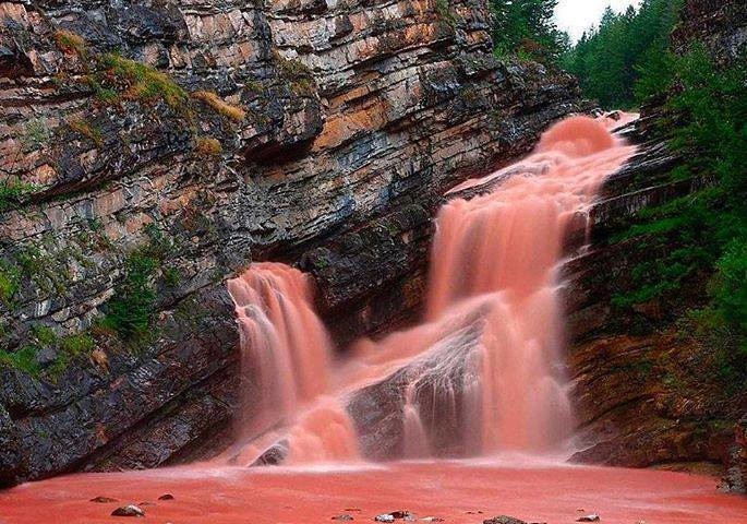 #CameronFalls, Alberta, #Canada