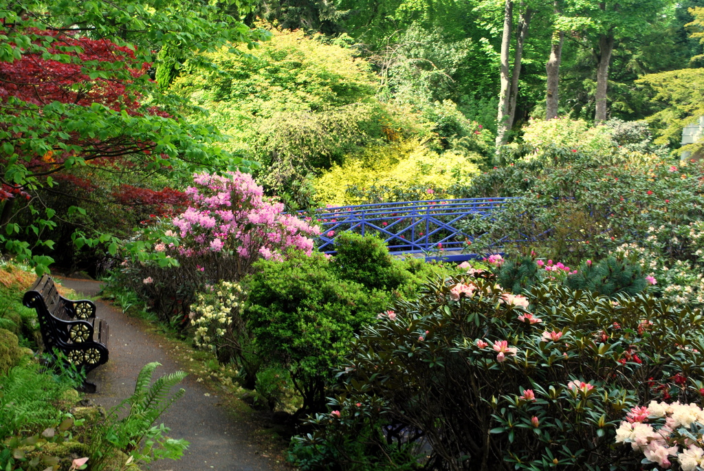 Johnston Gardens, aberdeen, UK