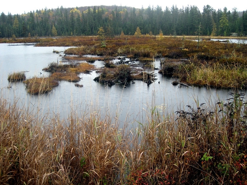 IMG_2438