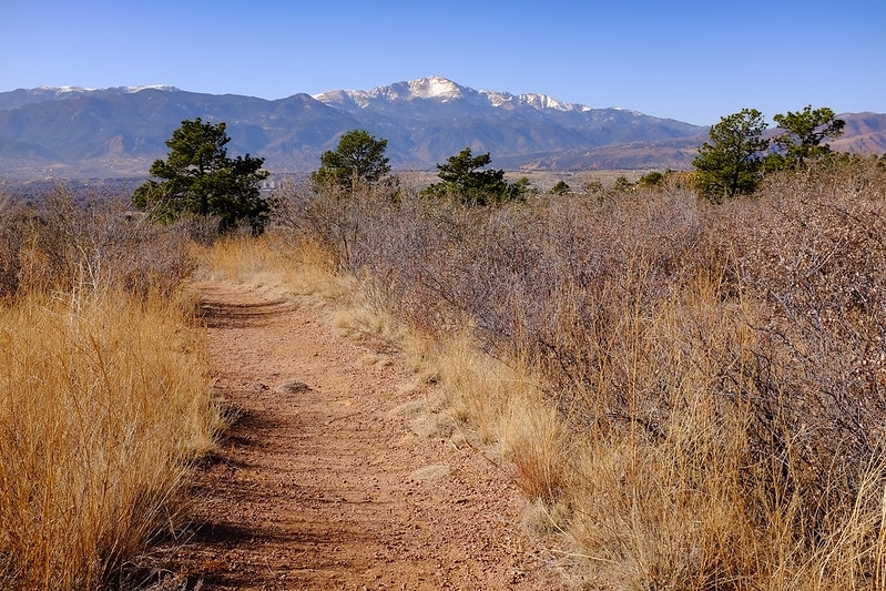 beaten path