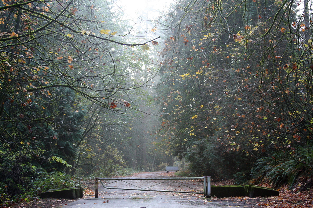 Woods Memorial Natural Area