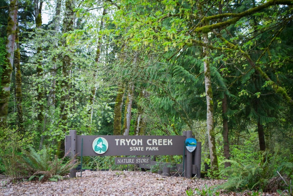 Tryon Creek State Park