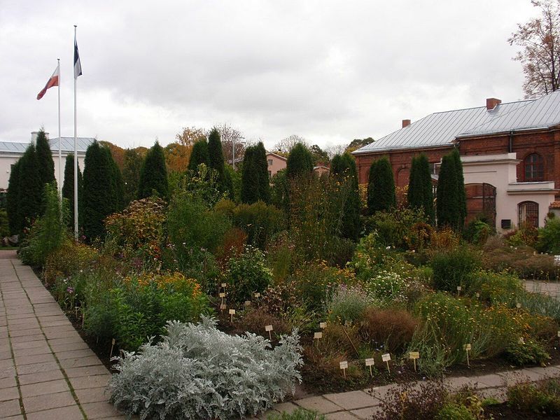 UT Botanical Garden4 2008