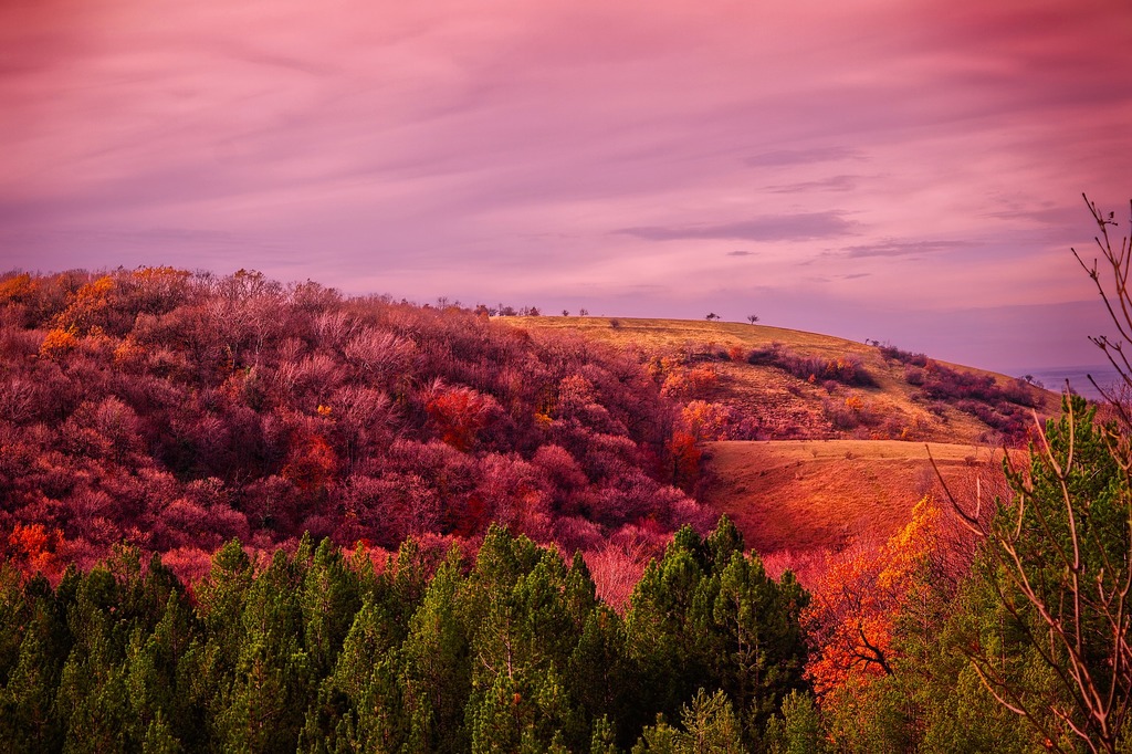 Serbia landscape