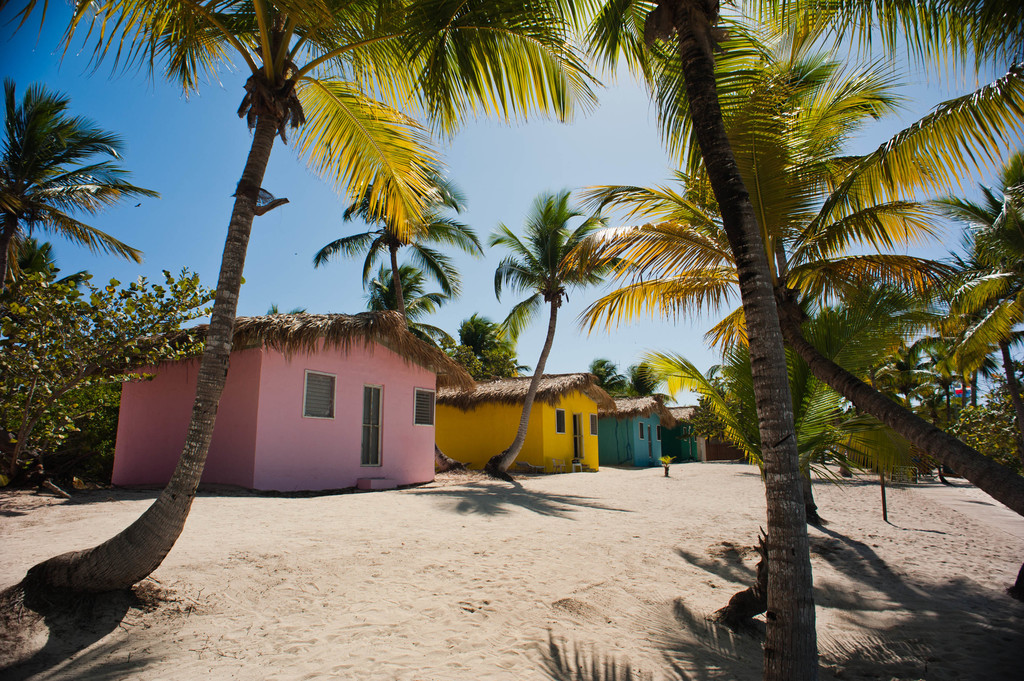 Catalina Island, La Romana, Dominican Republic. A line of bright painted bungalows nearby the cost line, shaded with palm trees (landscape)