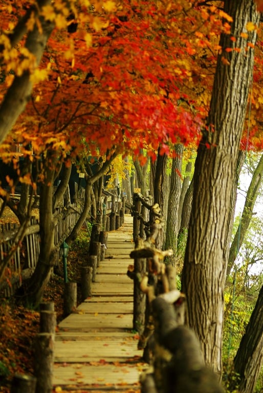 Nami Island