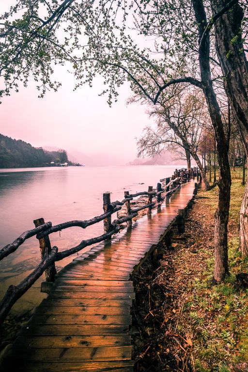 <div class="fn">
Nami Island South Korea Travel Photography</div>