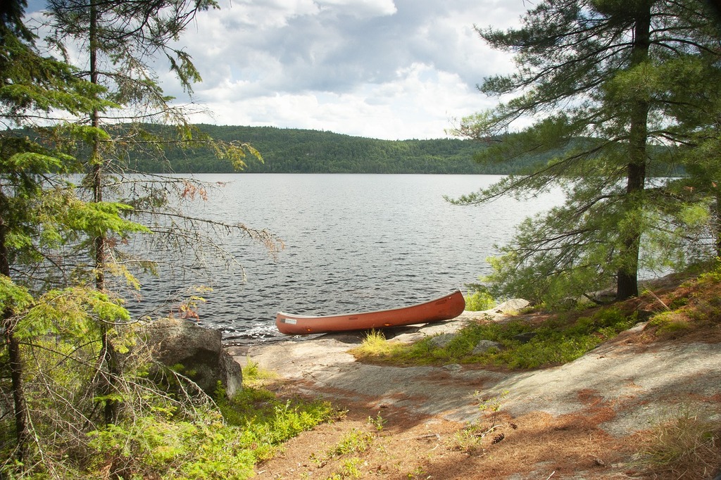 A Guide To Algonquin Island Park, Toronto Trip101