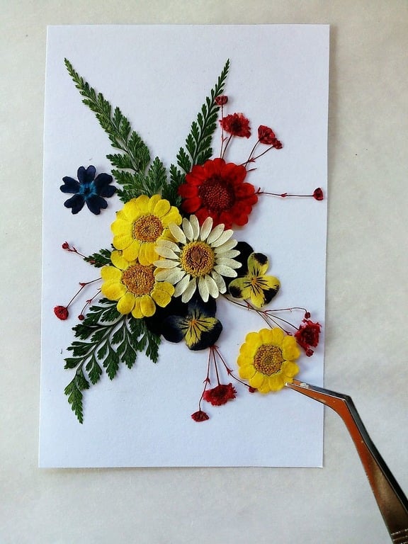 Pressed flowers