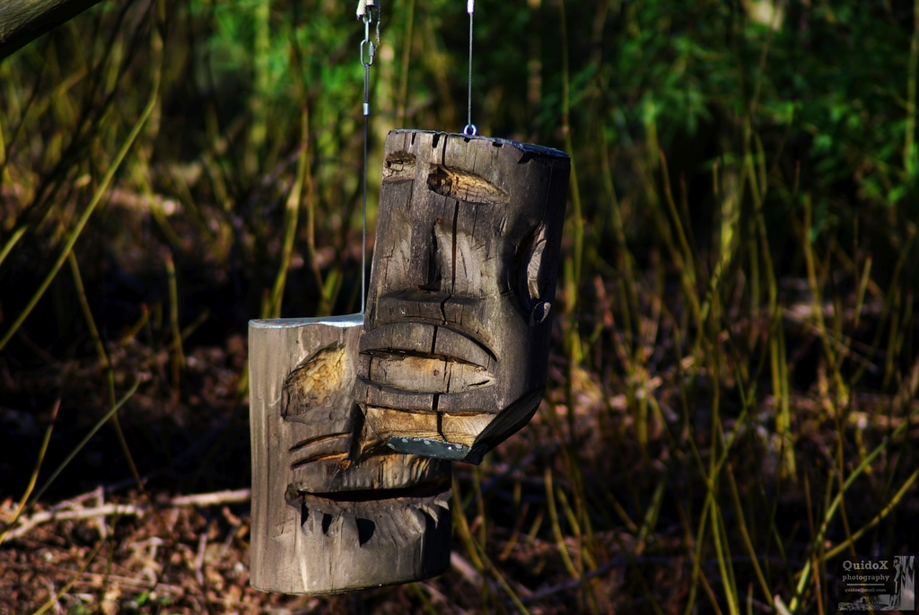 Wooden Faces / Holzgesichter