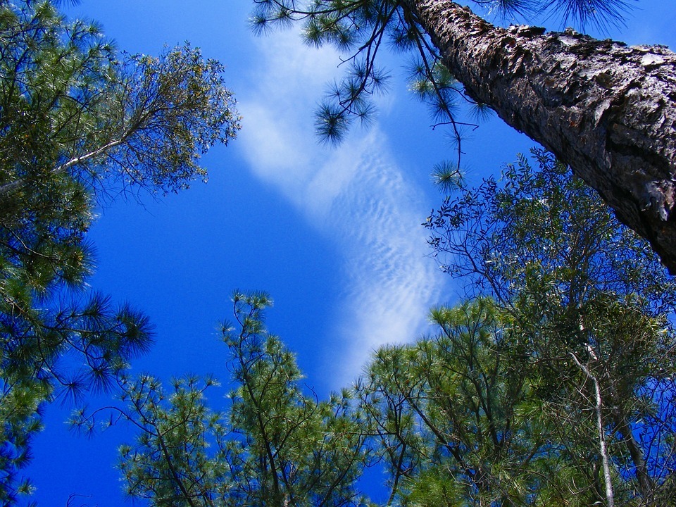 things to do in lehigh acres florida | beautiful lehigh acres