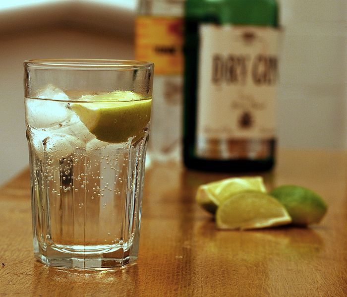 Gin and Tonic 