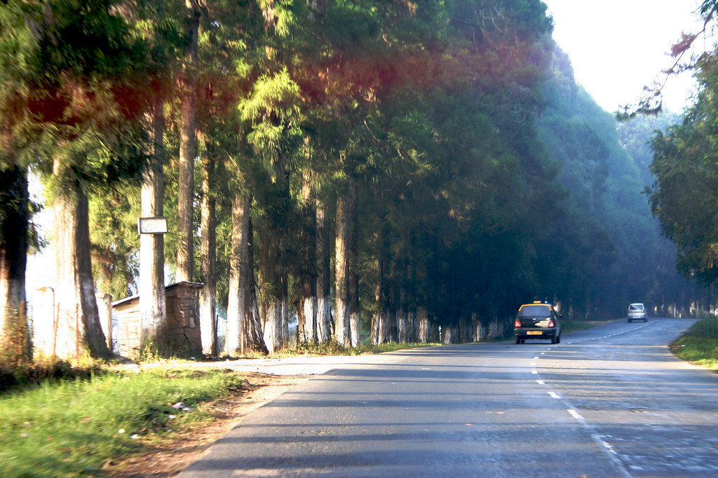 Shillong to Cherrapunji