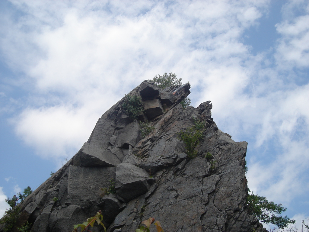 Quincy Quarries Reservation June 2009 1