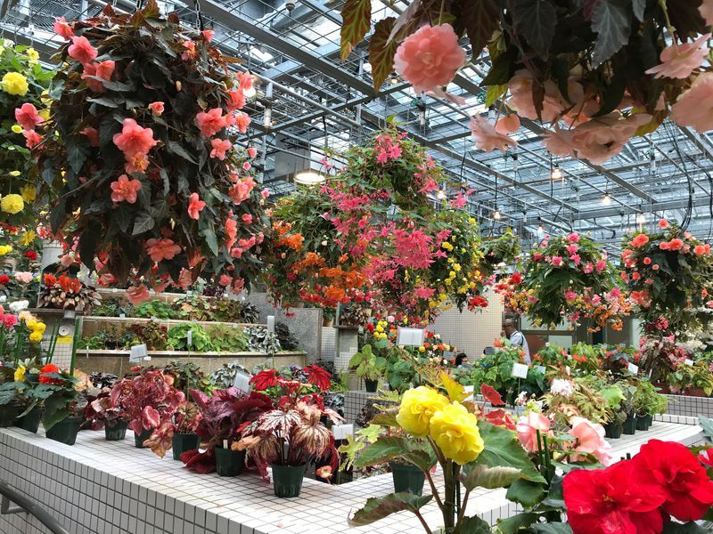 Hiroshima Botanical Garden