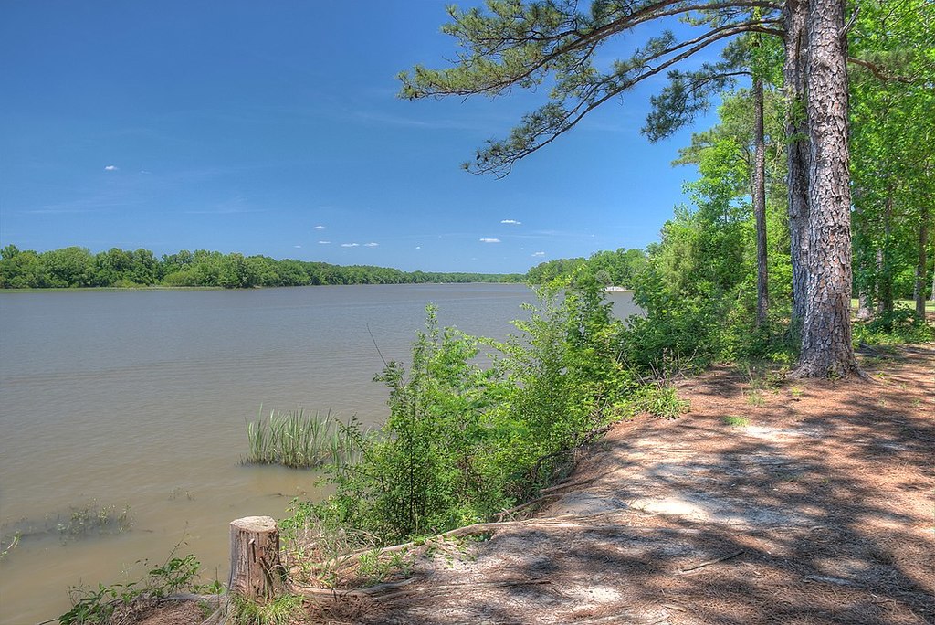 10 Most Lakes In Alabama, The USA Trip101