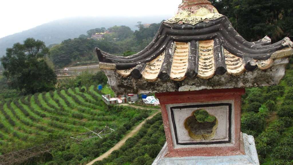 Maokong Tea Plantations