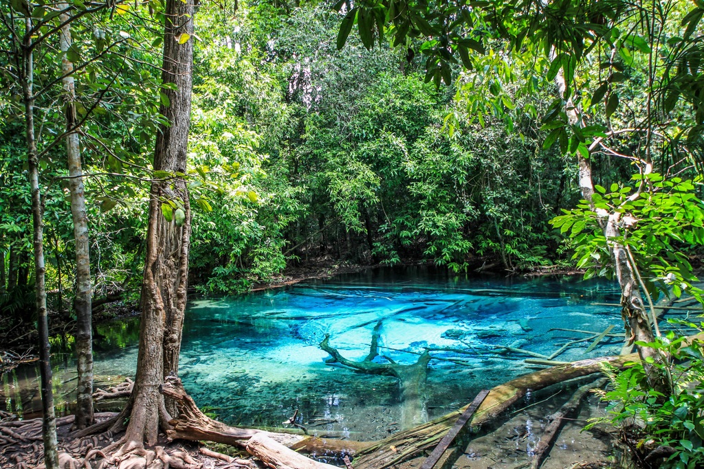 สระมรกต อุทยานแห่งชาติเขาพนมเบญจา อุทยานแห่งชาติลำดับที่17