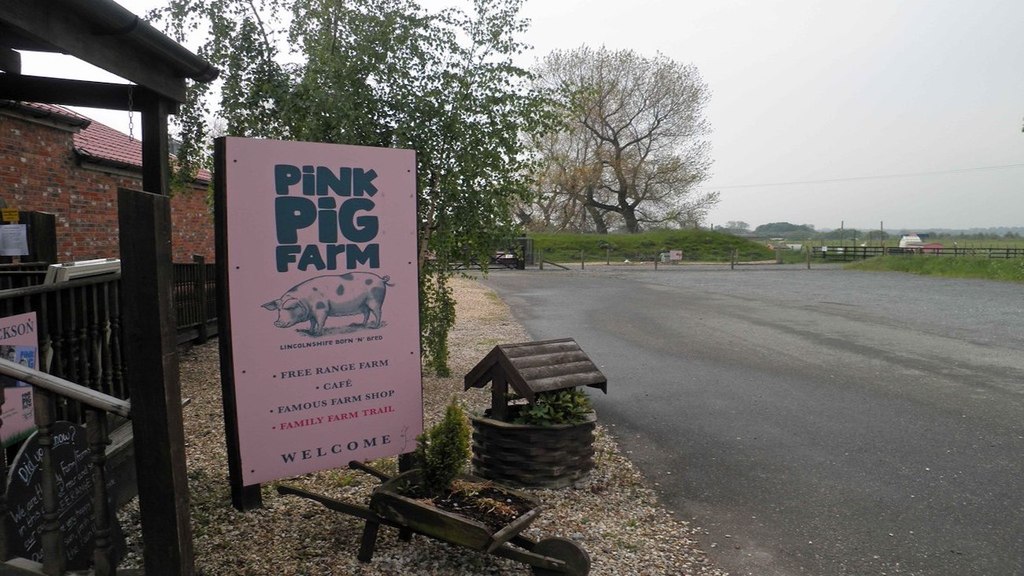 The Pink Pig Farm at Holme