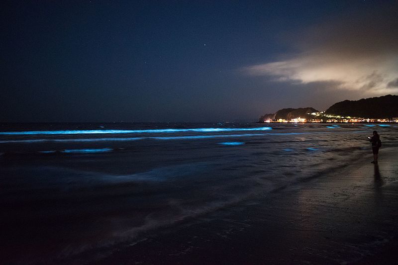 Sea sparkle at Kamakura Yuigahama Beach, Japan on March 2017