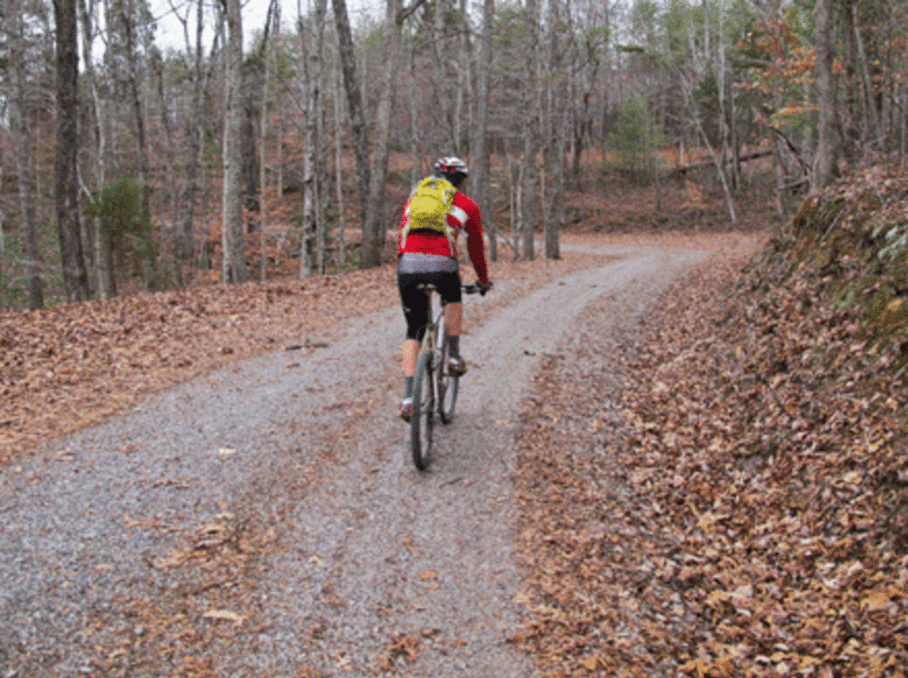 Black Oak Ridge Conservation Easement (BORCE) 