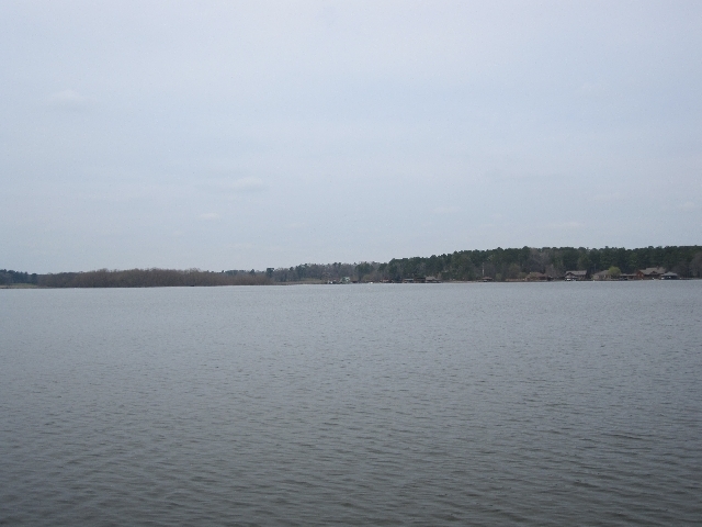 Lake Cypress Springs, view from north branch