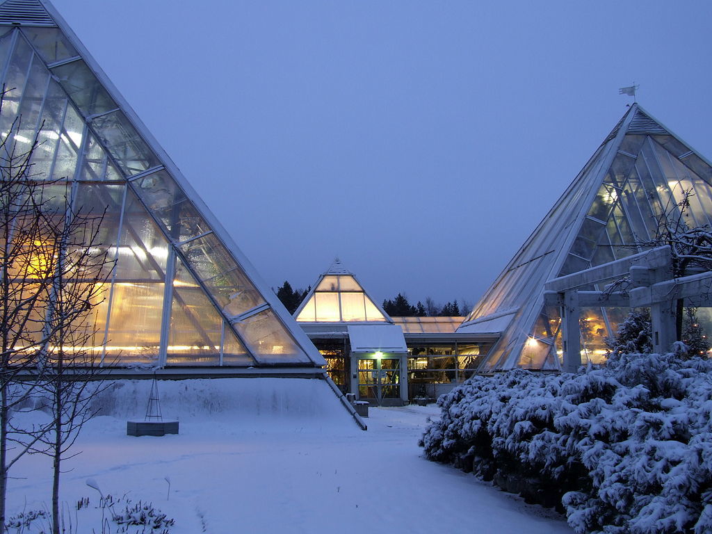 Oulu University Botanical Gardens 20091206b
