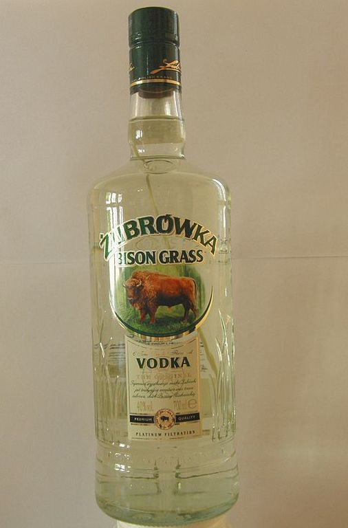 Żubrówka Bison Grass