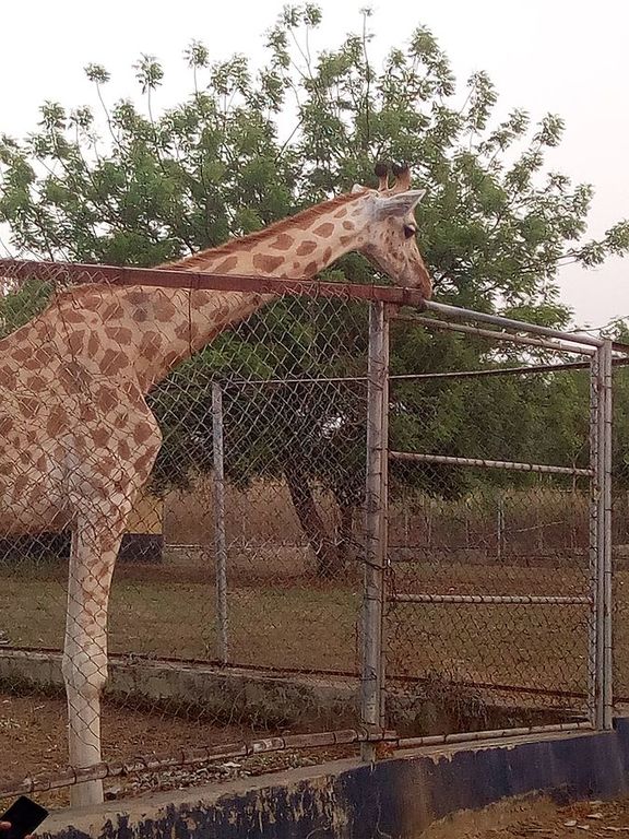 Zooworld