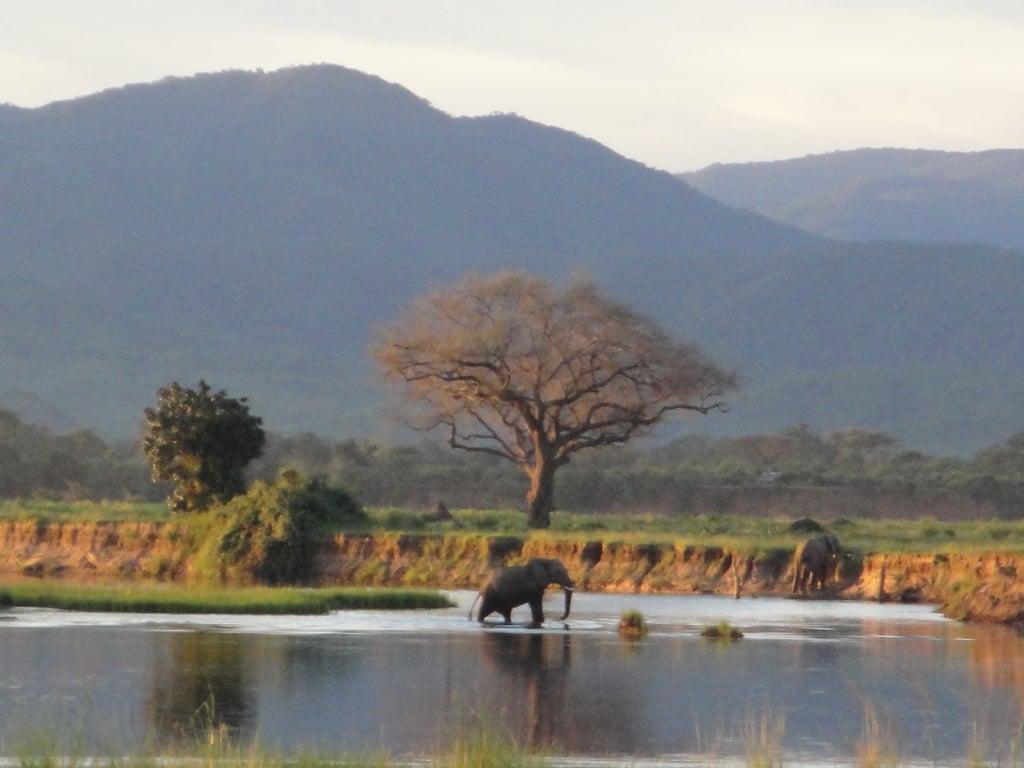 Zambezi-at-Mutsango