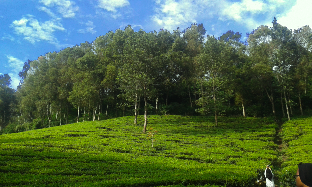 Gunung Mas