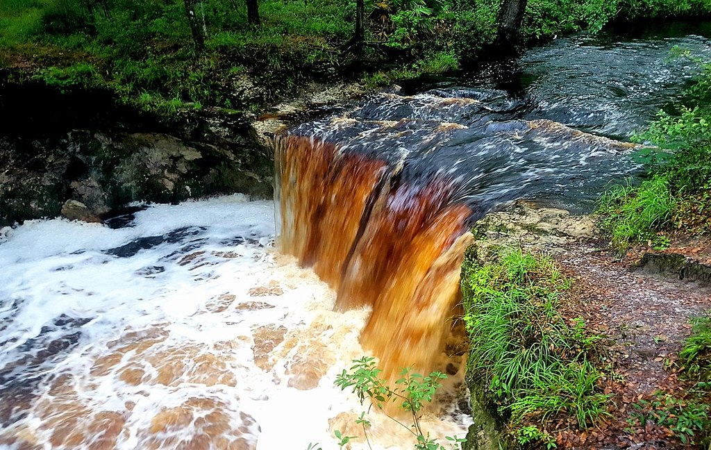 Creek Falls