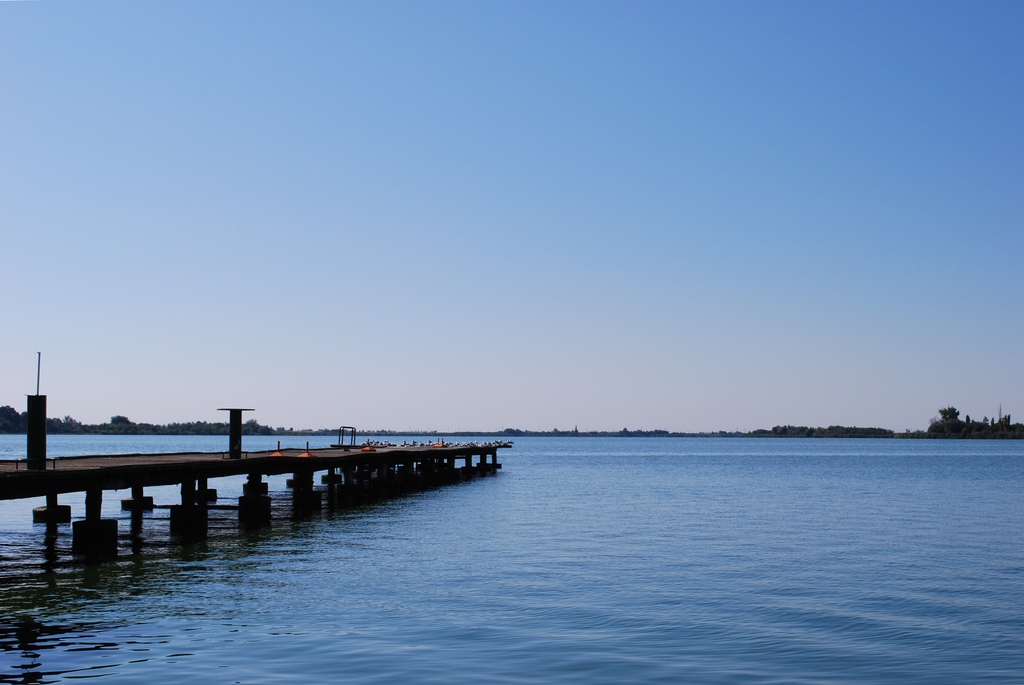Palic lake view